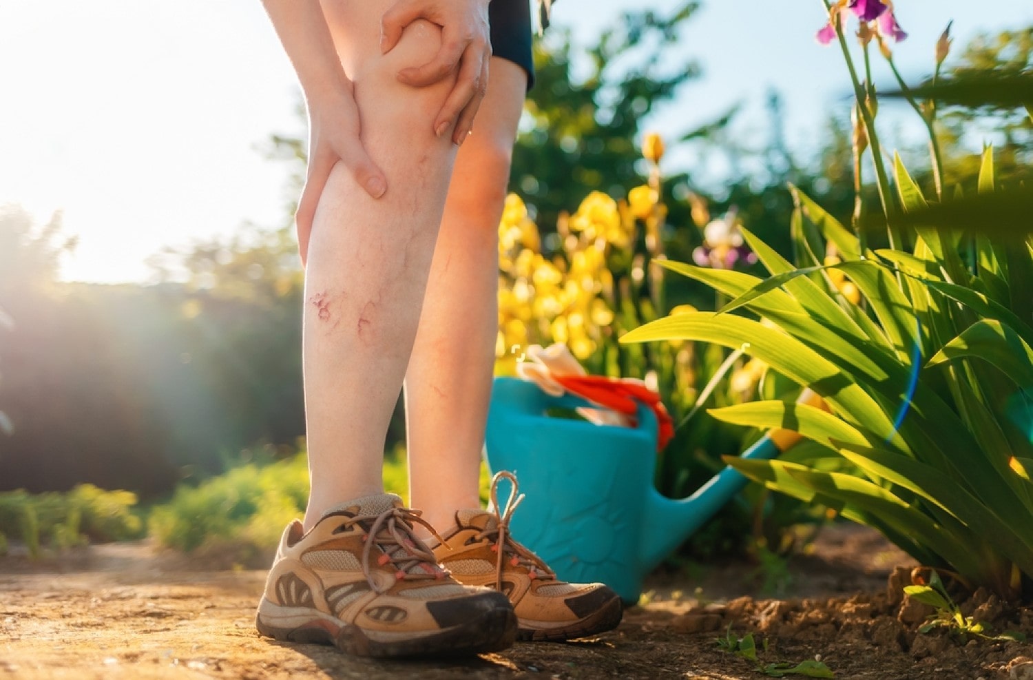 Photo - 2 - Varicose Veins in Dallas: Quality Care You Can Trust